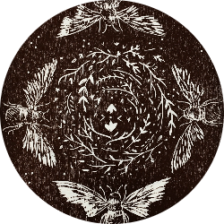 kapitán flotily Alice Lal Zikešová